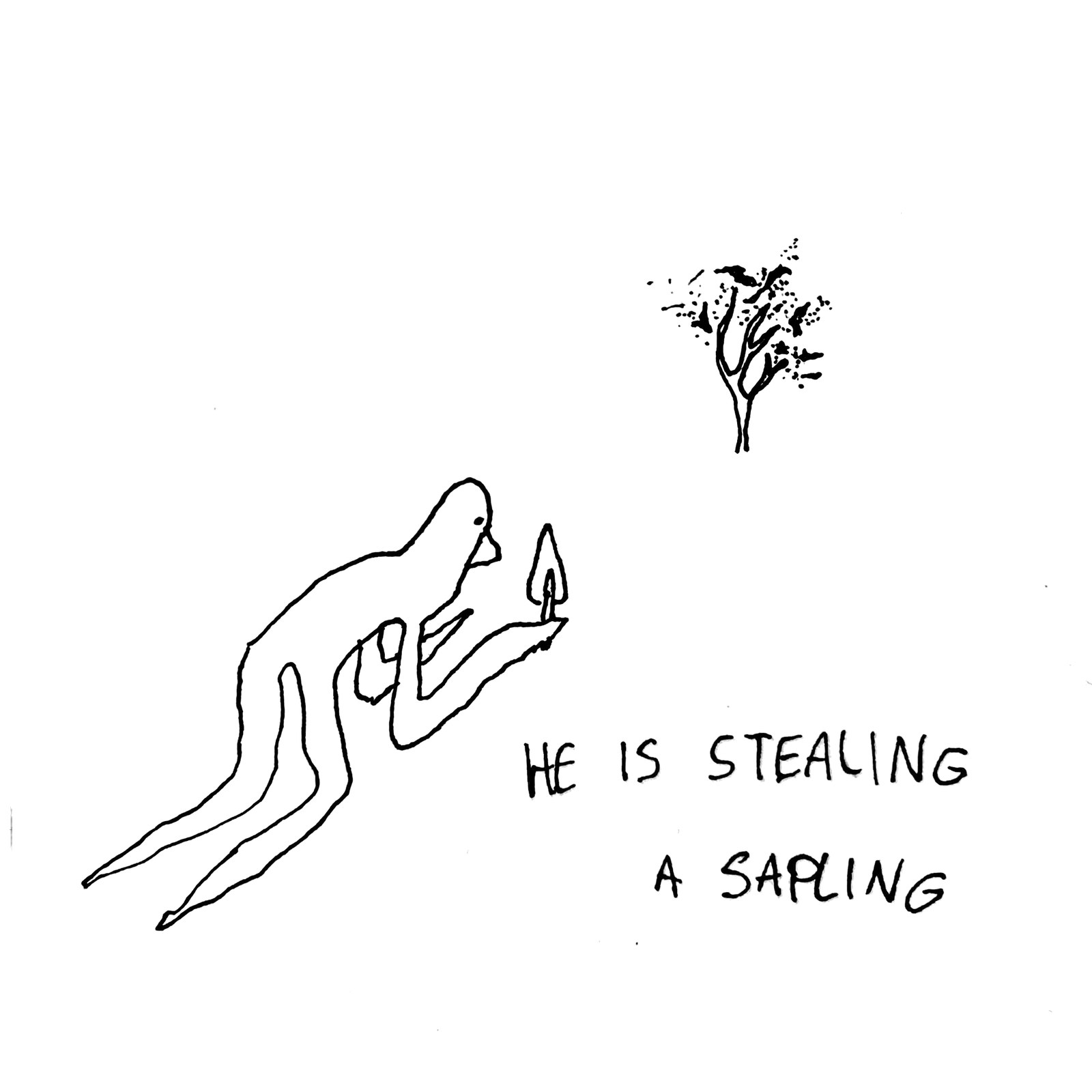 he is stealing a sapling