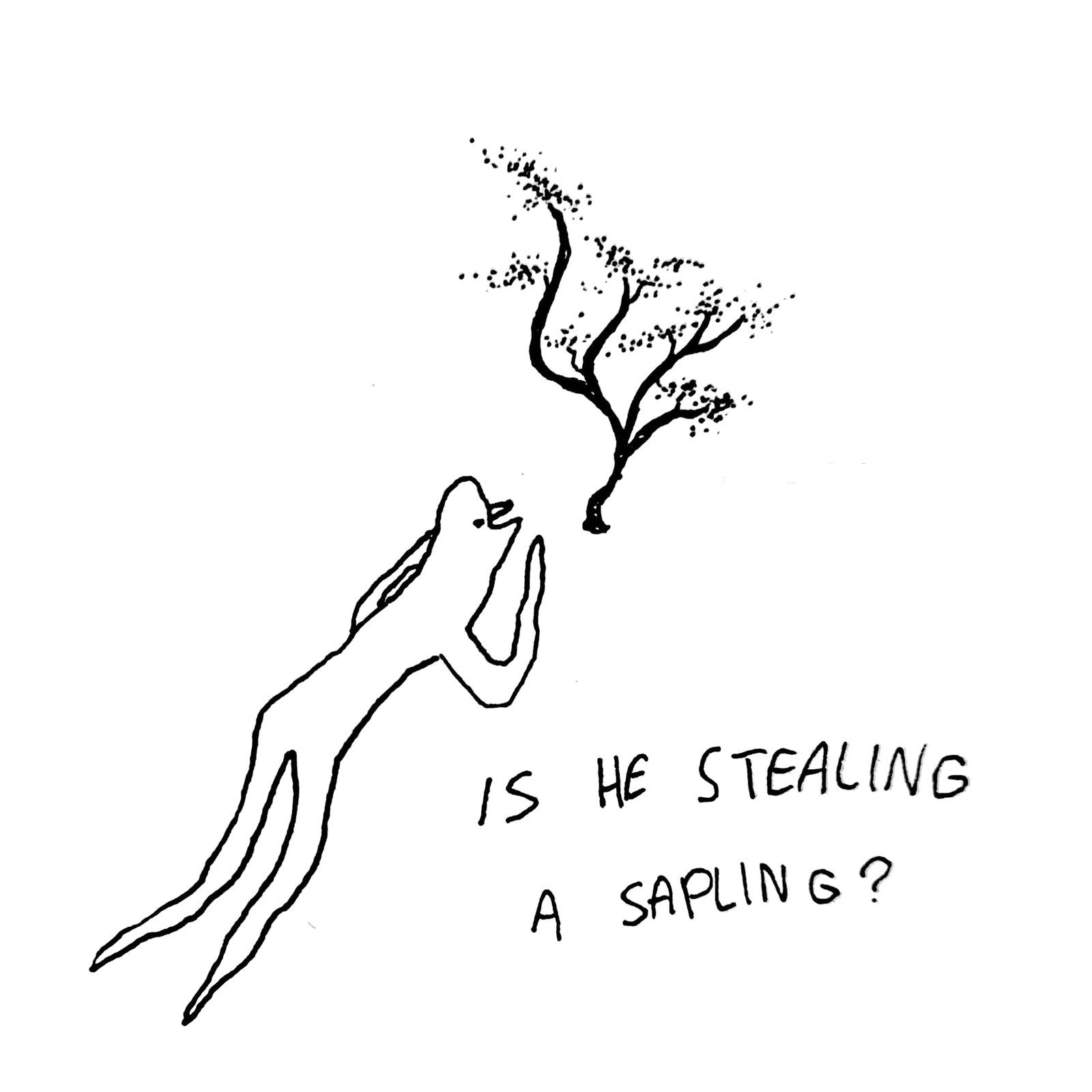 is he stealing a sapling
