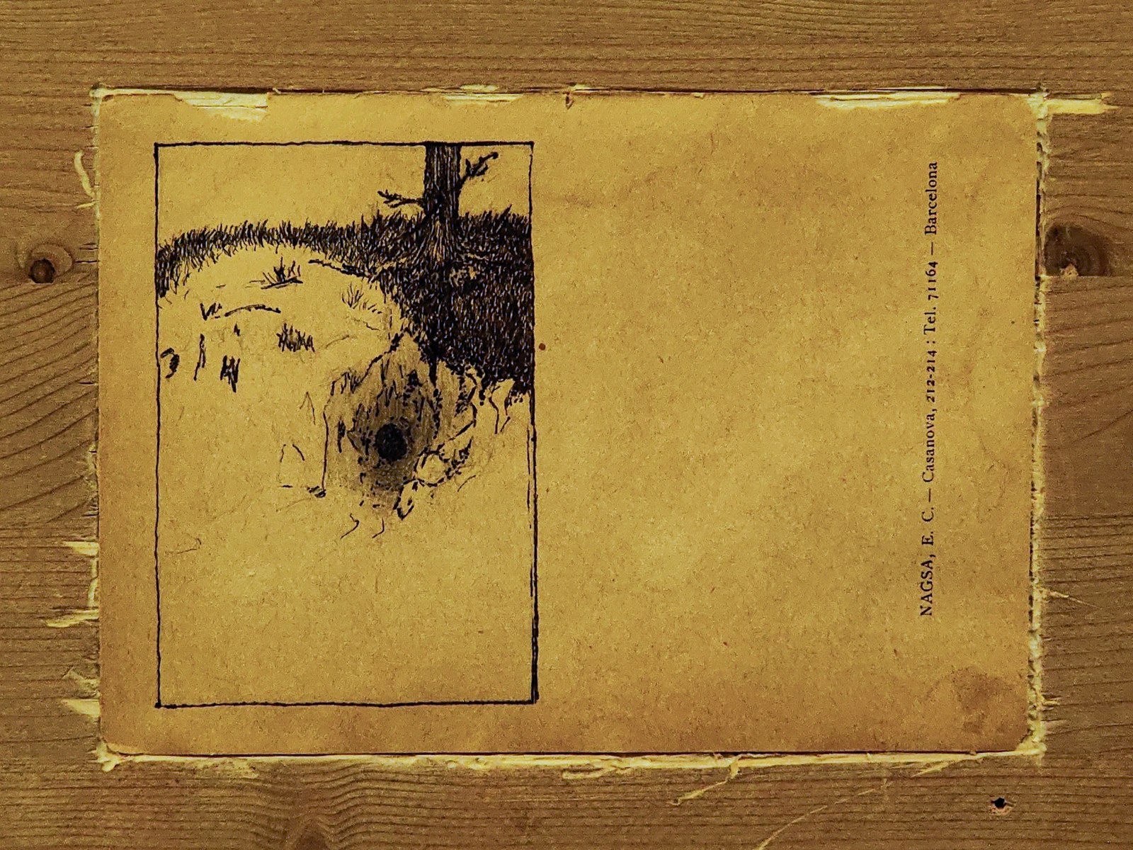 Organic Intuition — 4